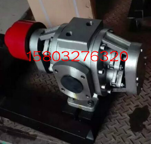 不銹鋼外潤(rùn)滑保溫齒輪泵（304材質(zhì)）